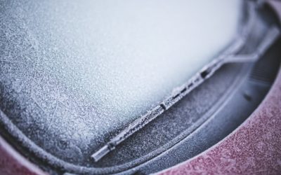Protezione invernale dell’auto